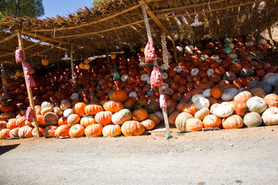 Pumpkins for sale at market stall