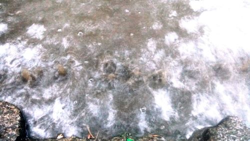 High angle view of rocks in water