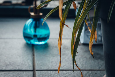 Close-up of blue spray bottle and decoration hanging on floor