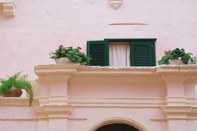 Low angle view of potted plants on wall of building