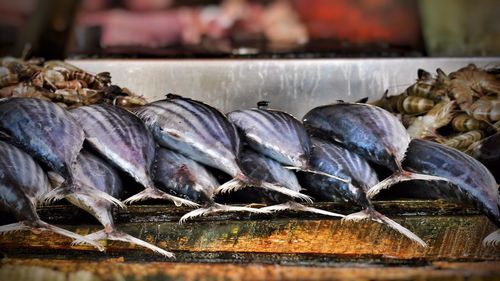 Close-up of stacked fish for sale at market