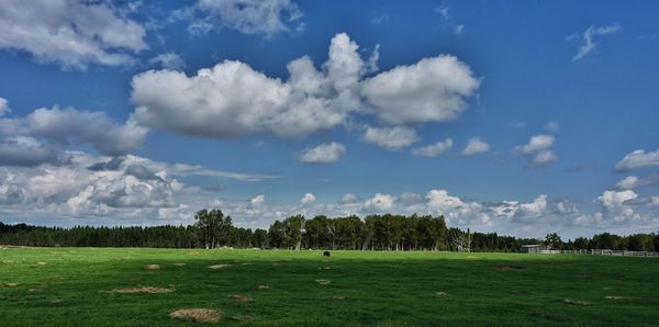 Scenic view of landscape against sky