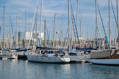 Sailboats moored in harbor