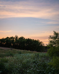 Scenic view of field against sky during sunset