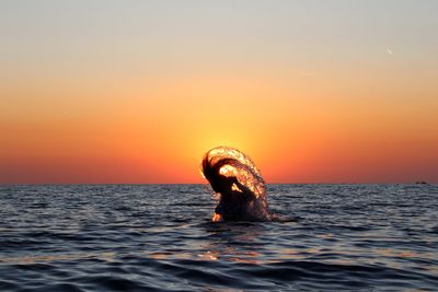 View of turtle in sea against sky during sunset