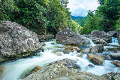 River flowing through rocks