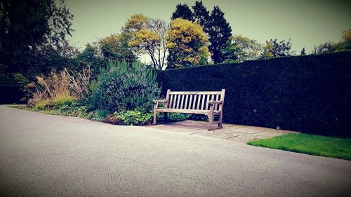 Footpath in park