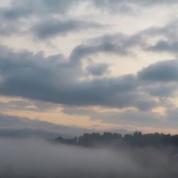 Low angle view of trees against sky during sunset