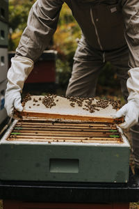 Beekeeper holding hive frame