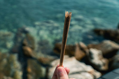 Cropped hand holding marijuana joint against sea