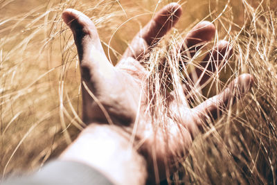 Cropped hand holding plants