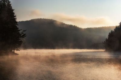 Scenic view of lake in forest against sky