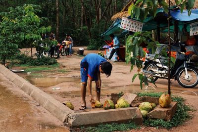 Man picking coconut while standing on field in forest