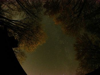 Scenic view of landscape against sky at night