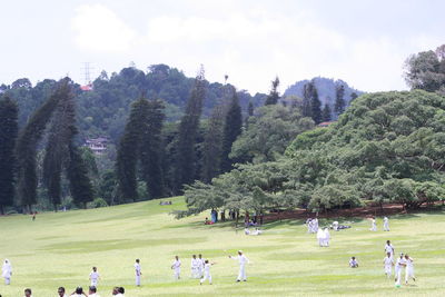 Group of people playing cricket on landscape