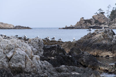 Scenic view of sea against clear sky