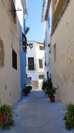 Narrow alley amidst buildings in city