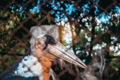 Low angle view of bird perching on branch