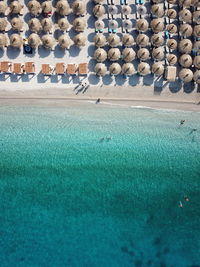 View of birds swimming in pool