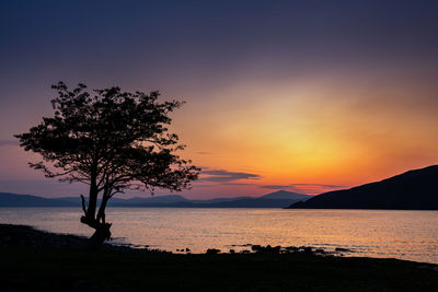 Silhouette tree by sea against sky during sunset