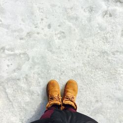 Low section of person standing on ice