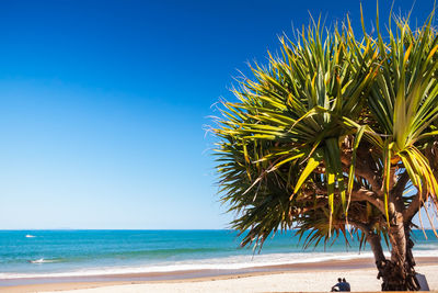 Scenic view of beach against clear blue sky