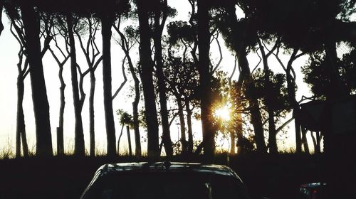 Silhouette trees by road against sky during sunset