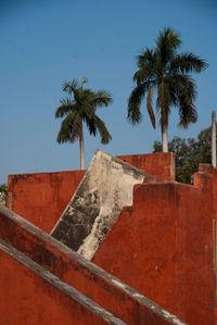 Low angle view of palm trees