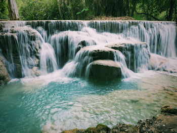 Scenic view of waterfall in forest