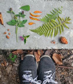 High angle view of woman standing on ground
