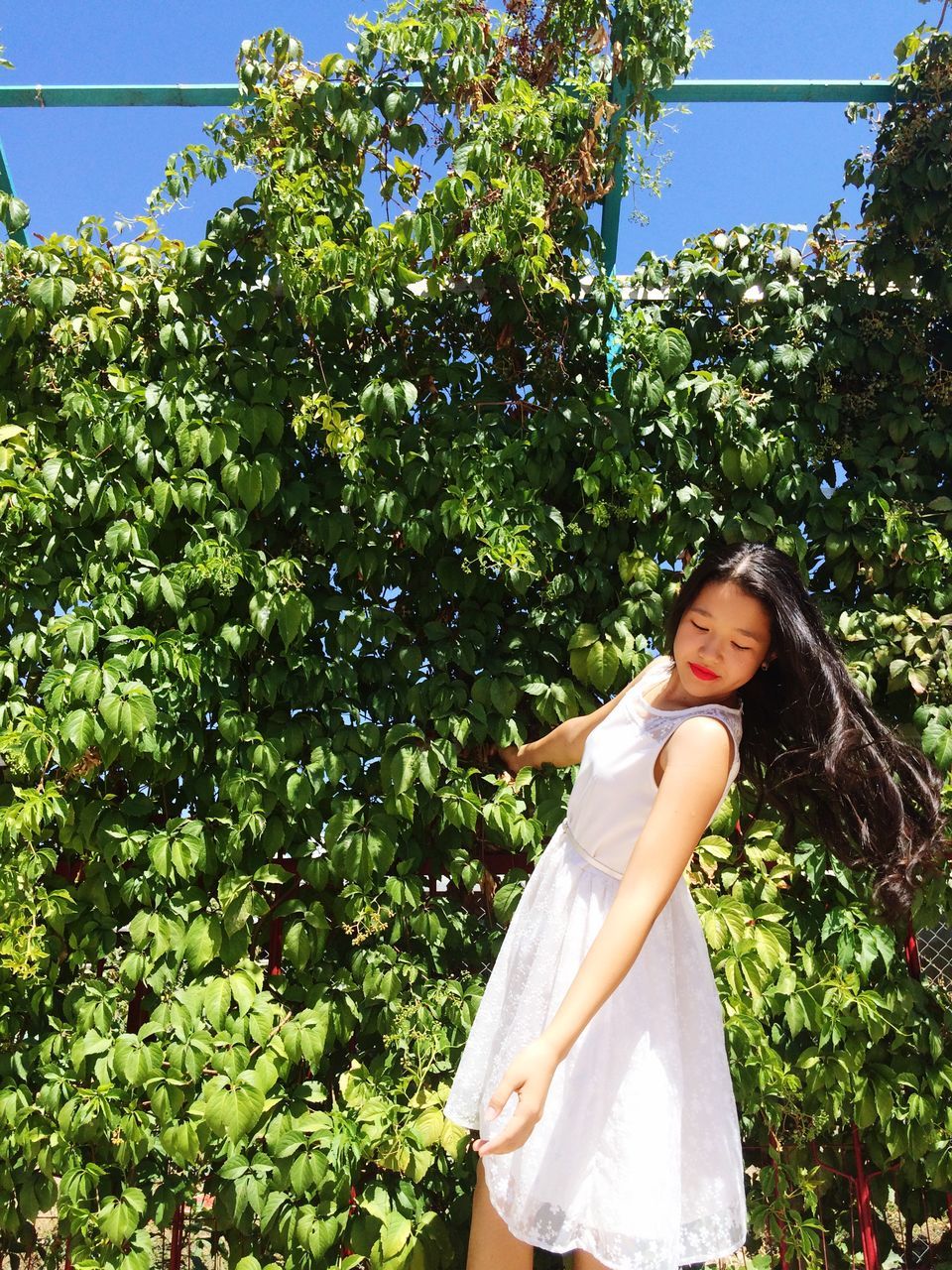 tree, lifestyles, leisure activity, young adult, casual clothing, growth, clear sky, sunlight, green color, young women, standing, person, plant, nature, day, outdoors, front view, branch