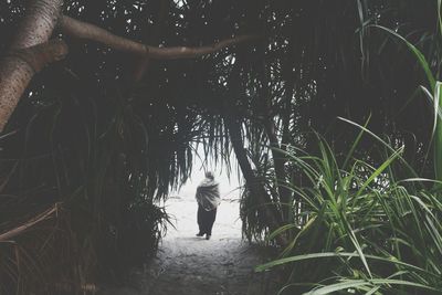 Rear view of a woman walking on tree