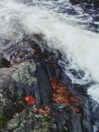 Scenic view of water