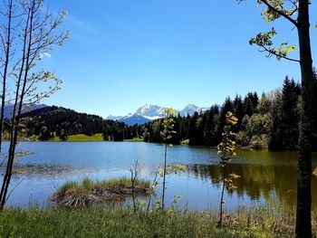 Scenic view of lake in forest against sky