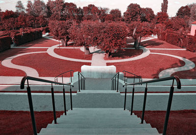 Chairs and trees against sky