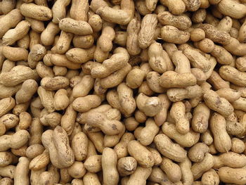 Peanut is an important economic crop