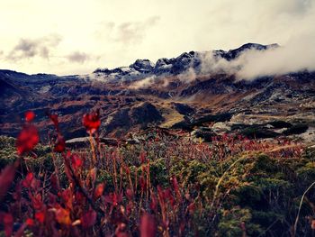 Mountain, view, panorama, swizz, 