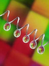 Close-up of water drops on plant