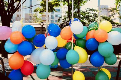 Multi colored balloons against trees