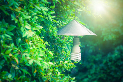 Close-up of electric lamp in yard