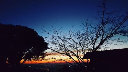 Low angle view of silhouette trees against sky at night