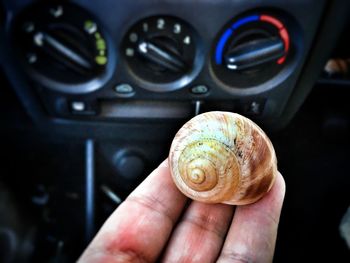 Cropped hand of man holding shell in car