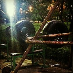 tree