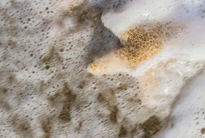 High angle view of bubbles in sea