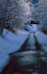 Snow covered road amidst trees