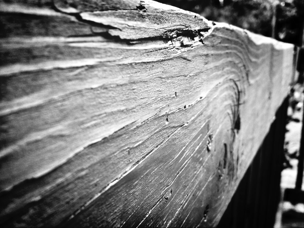 close-up, focus on foreground, wood - material, animals in the wild, animal themes, wildlife, one animal, nature, outdoors, day, natural pattern, insect, selective focus, wood, wooden, leaf, no people, plank, beauty in nature, fragility