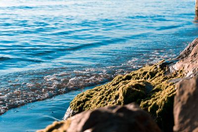 Scenic view of sea