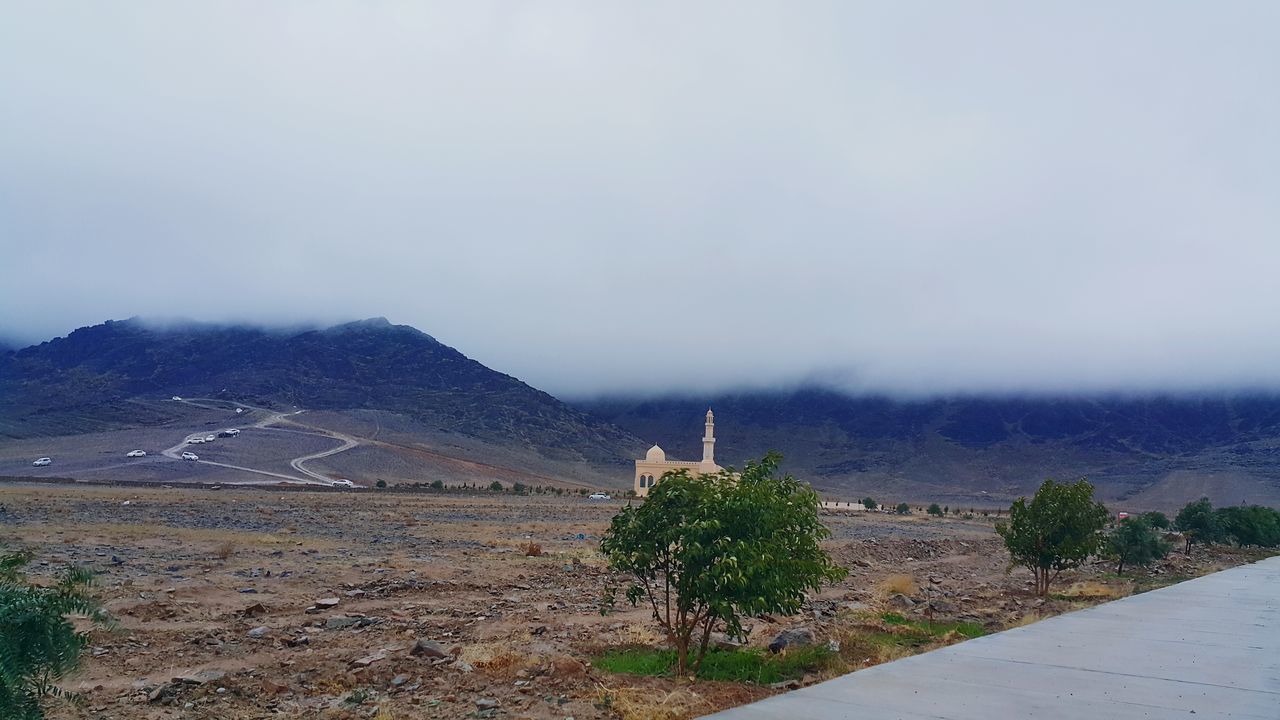 Ala Barak
