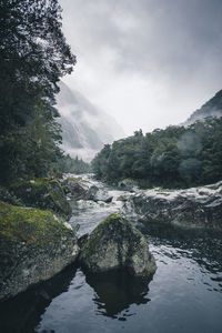 Scenic view of river amidst trees against sky