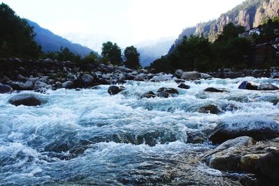 Scenic view of river in forest against sky